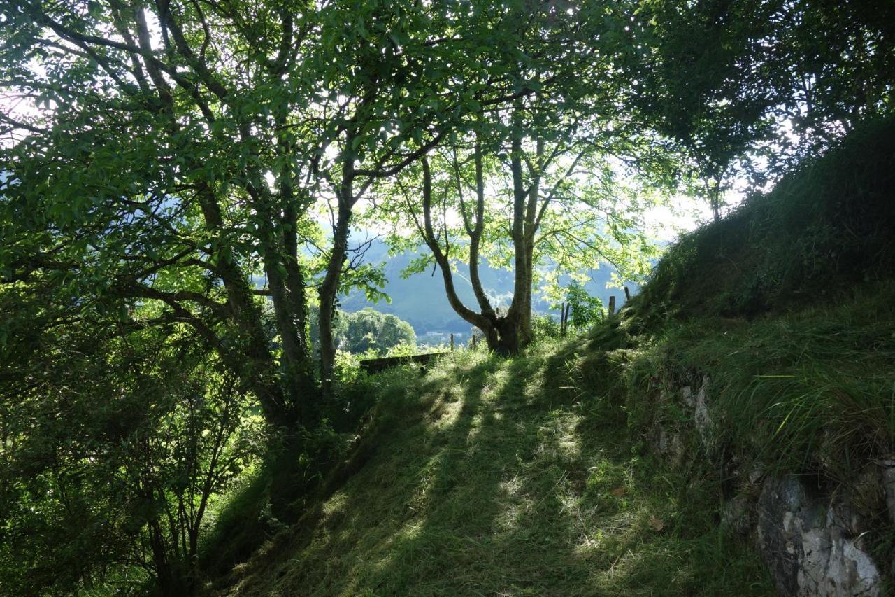 Gite Montagne Et Vie Bedous Екстер'єр фото