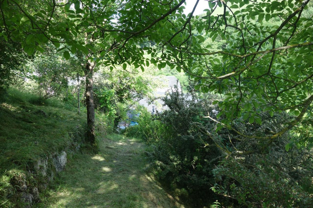 Gite Montagne Et Vie Bedous Екстер'єр фото