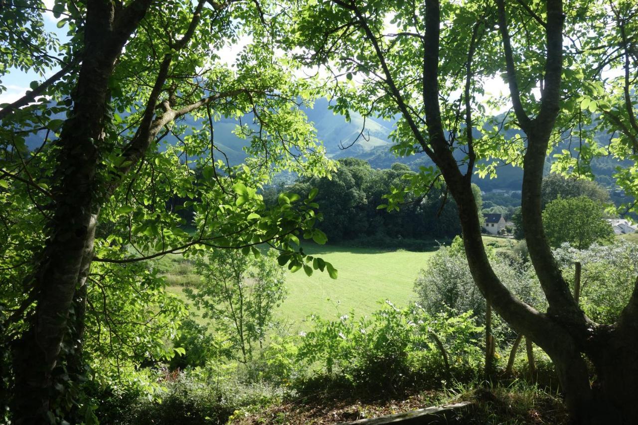 Gite Montagne Et Vie Bedous Екстер'єр фото